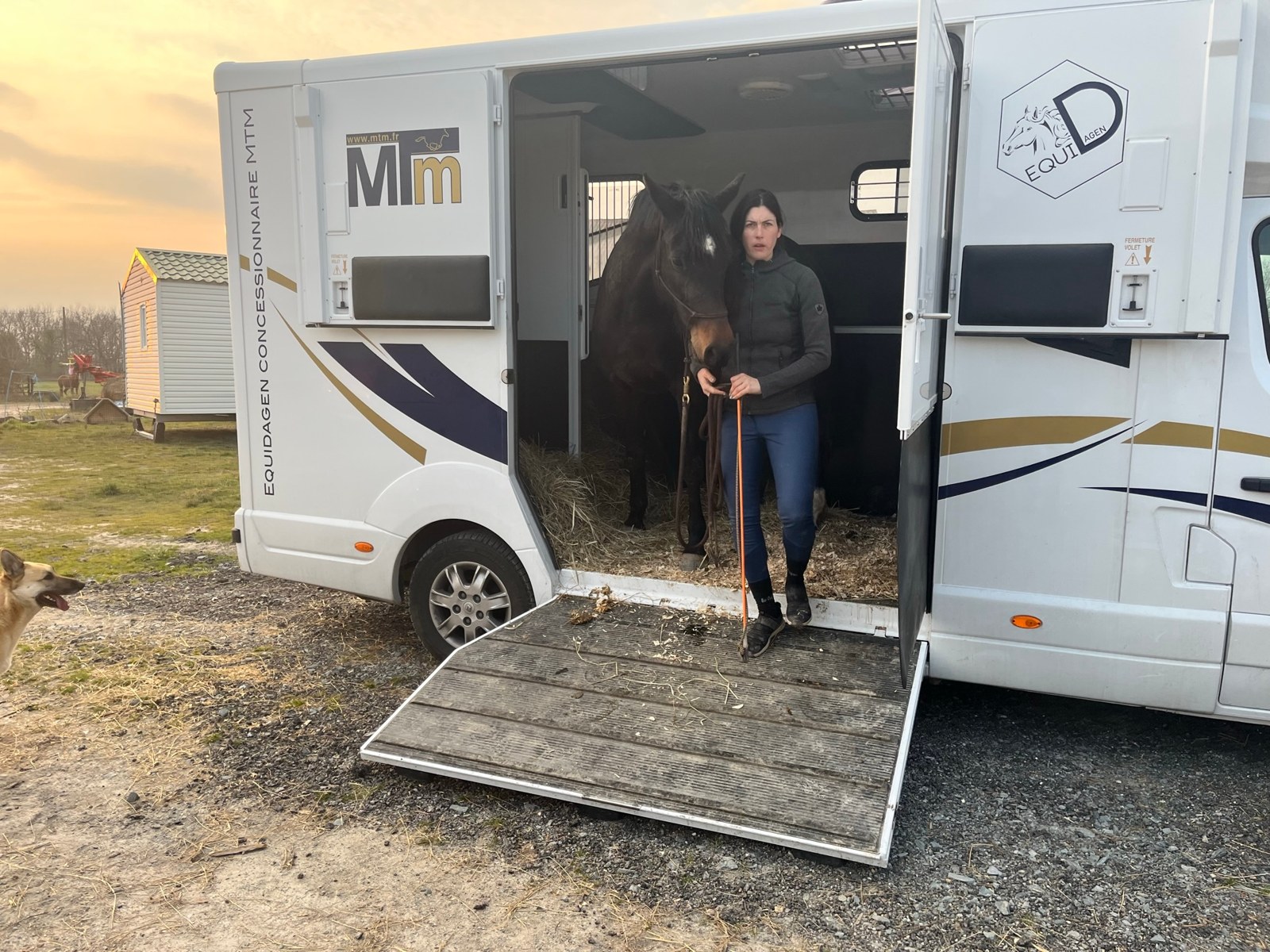 Accompagnement d’un cheval à l’embarquement dans un camion