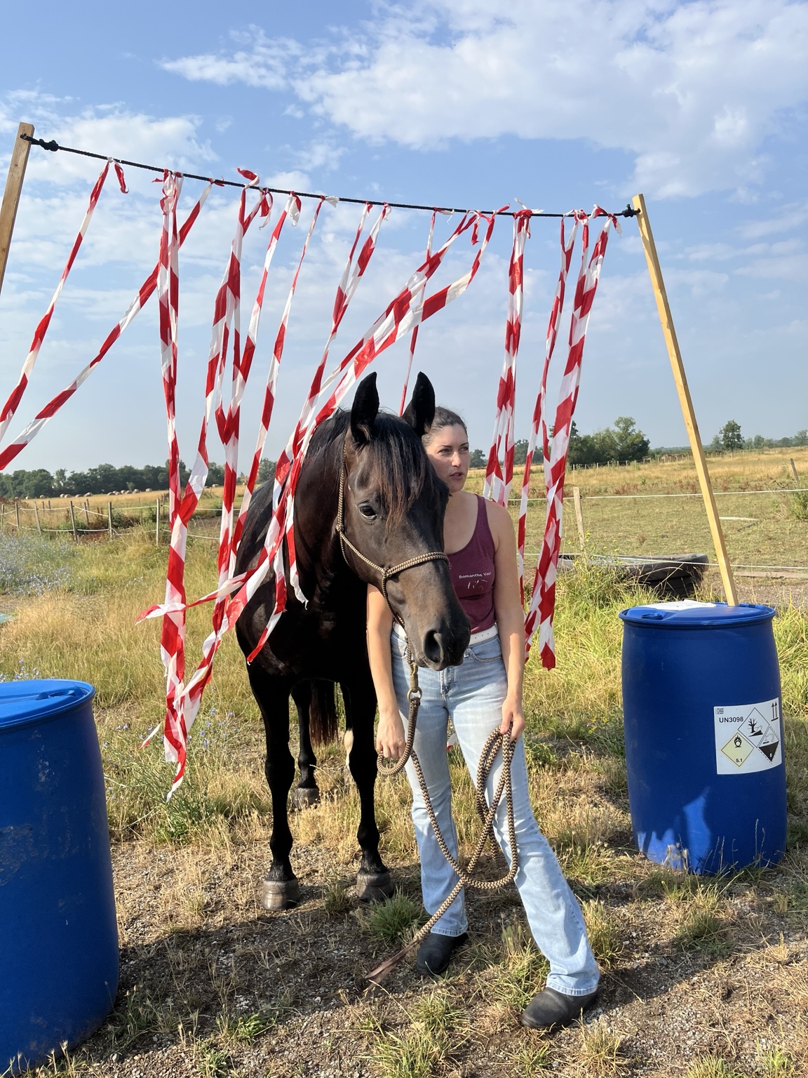 Cheval et accompagnante sous un rideau de rubans rouges et blancs