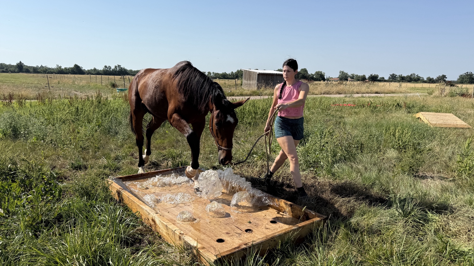 Cheval et accompagnante franchissant une waterbox en Mountain Trail